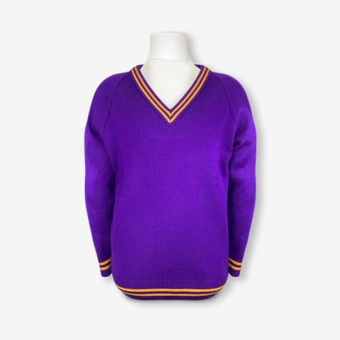 STM Purple with Gold stripes Jumper