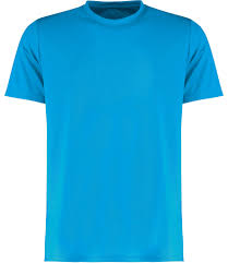 Eardley House PE Tshirt (with logo)