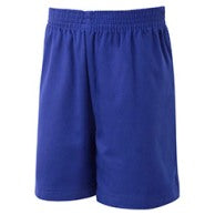 Royal Blue PE shorts